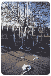 areas_vandalism