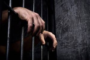 perpare for 1275 hearing and obtain bail