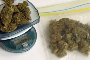 selling marijuana - medical marijuana laws