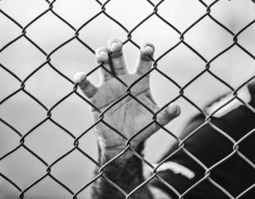 Felony Murder Convictions